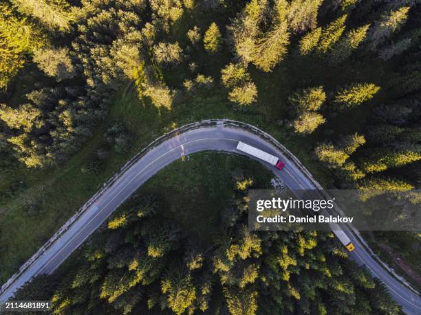 camiones en la carretera al amanecer en pine green forest. - reparto fotografías e imágenes de stock