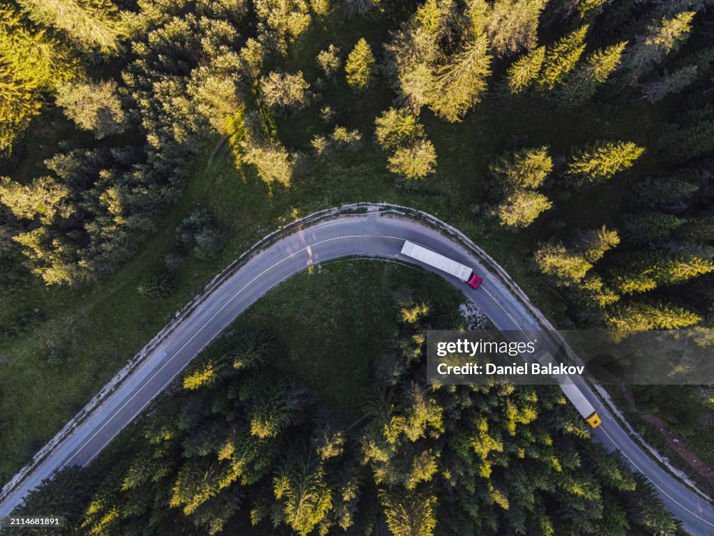 Trucking on the Road at Sunrise in Pine Green Forest.