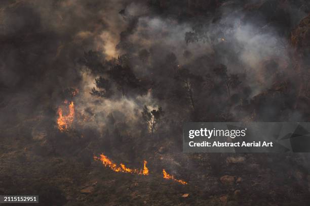 Out Control Fire 44 Flame Weed Control Stock Photos, High-Res Pictures, and Images ...
