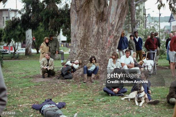 Group of hippies gathered around a large tree during a "happening" at Golden Gate Park, San Francisco, California, 1960s.