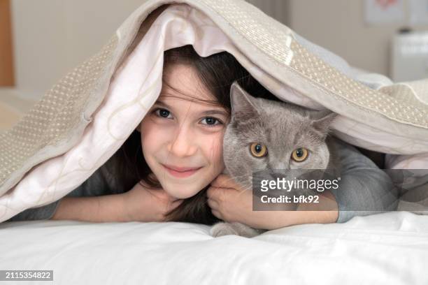best friends under blanket. - cat hiding under bed stock pictures, royalty-free photos & images