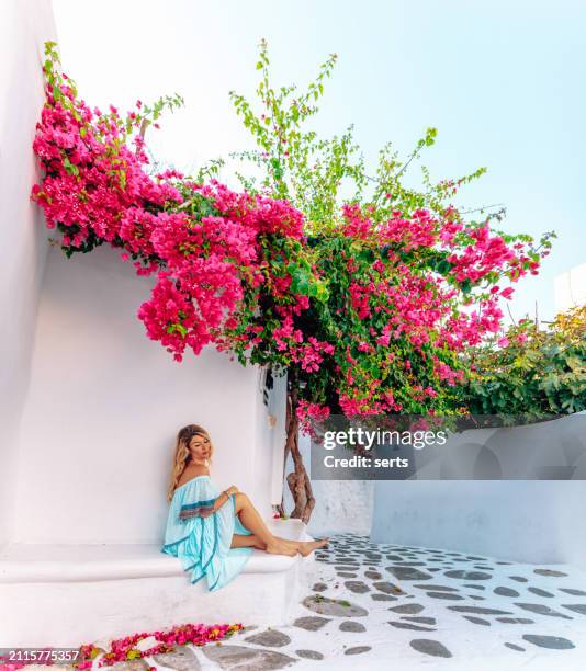 giovane turista donna gode sotto i fiori rosa bougainvillaea per le strade dell'isola di mykonos, cicladi, grecia. - buganville foto e immagini stock