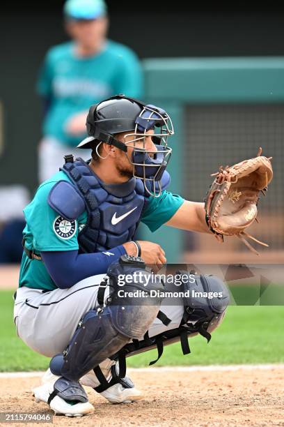 Harry Ford of the Seattle Mariners warms up during the eighth inning of a spring training game against the Oakland Athletics at Hohokam Stadium on...