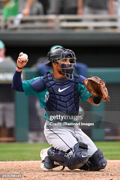 Harry Ford of the Seattle Mariners warms up during the seventh inning of a spring training game against the Oakland Athletics at Hohokam Stadium on...