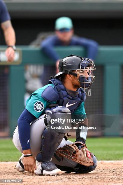 Harry Ford of the Seattle Mariners warms up during the seventh inning of a spring training game against the Oakland Athletics at Hohokam Stadium on...
