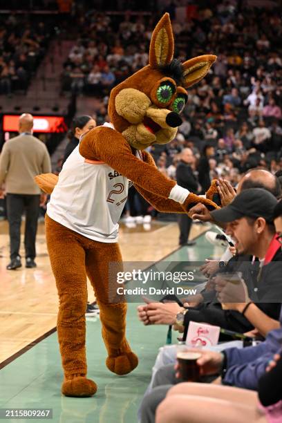 Mascot The Coyote of the San Antonio Spurs high fives fans during the game against the Phoenix Suns on March 25, 2024 at the AT&T Center in San...