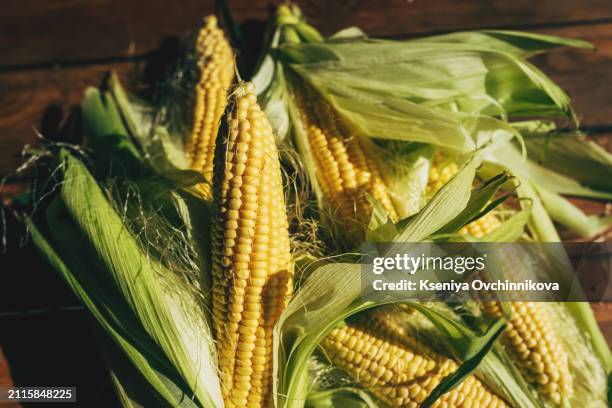 Ptf Rustic Maize 29 Frozen Corn Kernels Stock Photos, High-Res Pictures, and Images ...