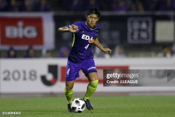 Hiroki Mizumoto of Sanfrecce Hiroshima in action during the J.League J1 match between Sanfrecce Hiroshima and Shimizu S-Pulse at Edion Stadium...