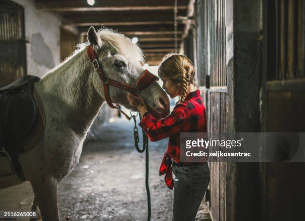 a young girl spends her time on her ranch and takes care of her horse - serbia village stock pictures, royalty-free photos & images