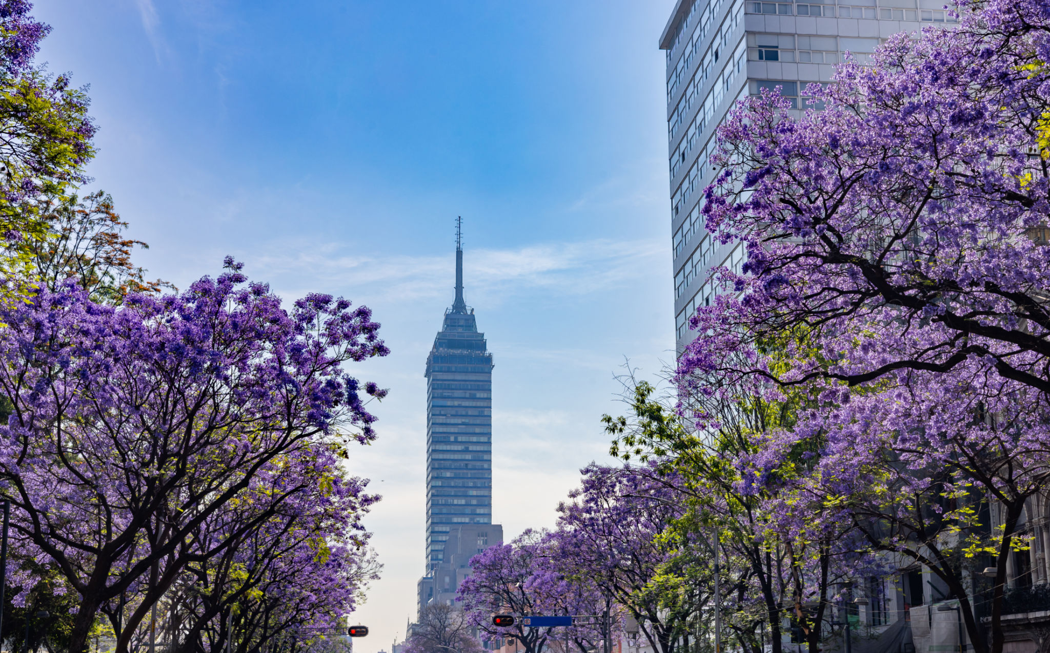 ciudad de mexico