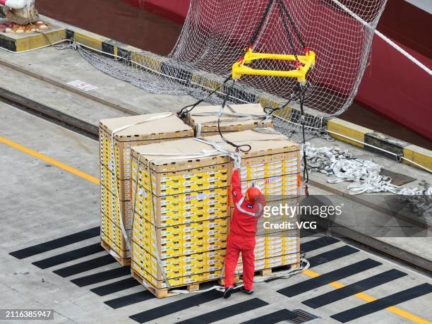 Staff member unloads imported kiwifruit from a refrigerated cargo ship at Nangang Port on March 26, 2024 in Shanghai, China. The first batch of this...