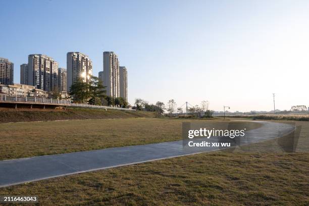 empty walking path in the park - 福建省 stock pictures, royalty-free photos & images