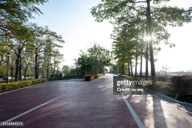 empty red asphalt walking path in the park - 福建省 stock-fotos und bilder