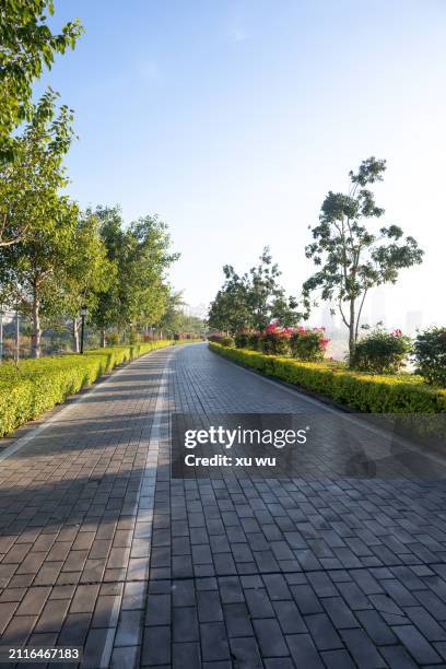 empty walking path in the park - 福建省 stock pictures, royalty-free photos & images