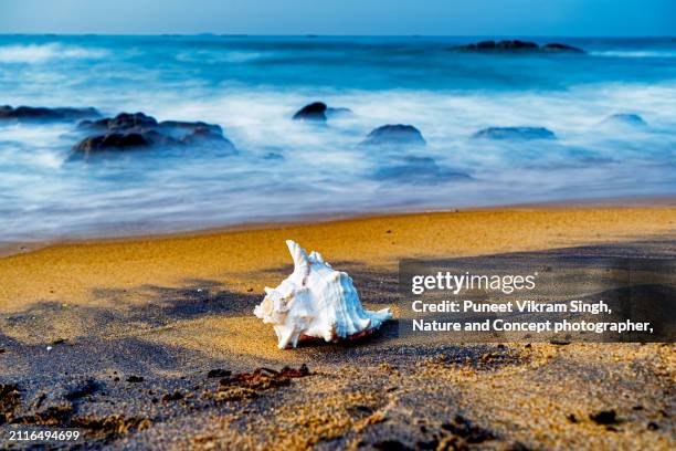 Legends Of India Photos and Premium High Res Pictures - Getty Images