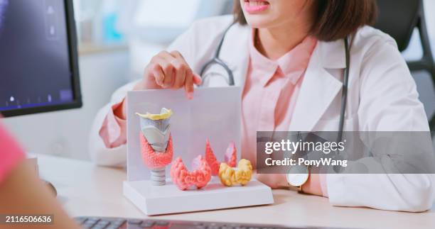 asian doctor thyroid model explain - hypothyroidism stock pictures, royalty-free photos & images