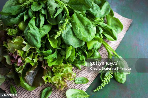 bunch of green fresh juicy lettuce leaves, arugula and spinach, close-up - leaf vegetable stock pictures, royalty-free photos & images