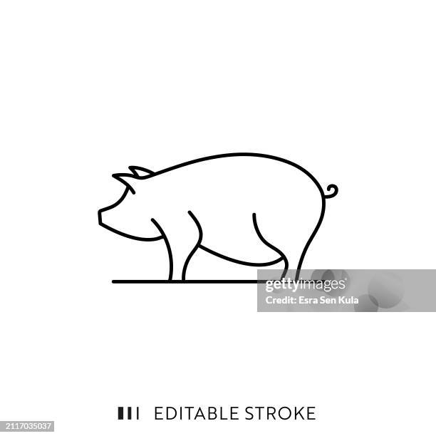 bildbanksillustrationer, clip art samt tecknat material och ikoner med pig farming line icon design with editable stroke. suitable for infographics, web pages, mobile apps, ui, ux, and gui design. - gris