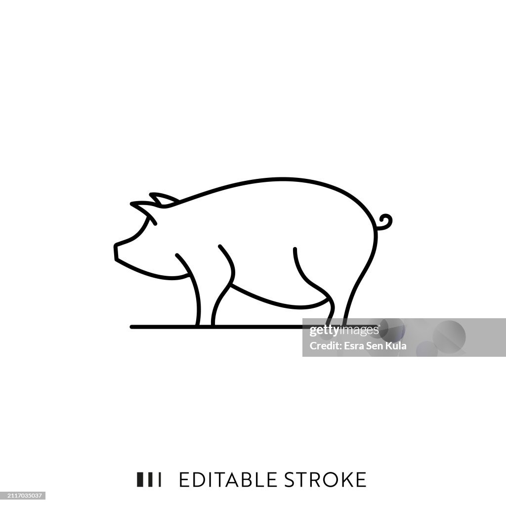Pig Farming Line Icon Design with Editable Stroke. Suitable for Infographics, Web Pages, Mobile Apps, UI, UX, and GUI design.