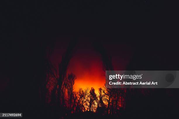 leaning trees and a wildfire shot a night, the kimberley, western australia, australia - burns night stock pictures, royalty-free photos & images
