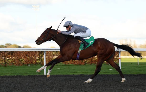 GBR: Kempton Races