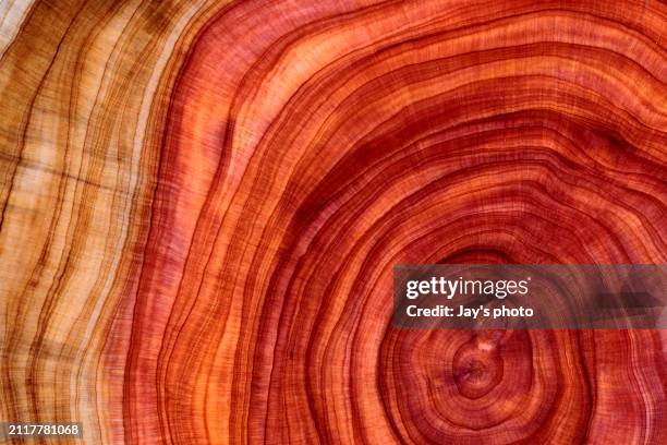 wood pattern - natural pattern stock pictures, royalty-free photos & images