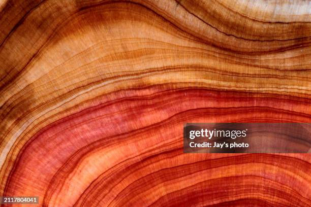 wood pattern - glatte oberfläche stock-fotos und bilder