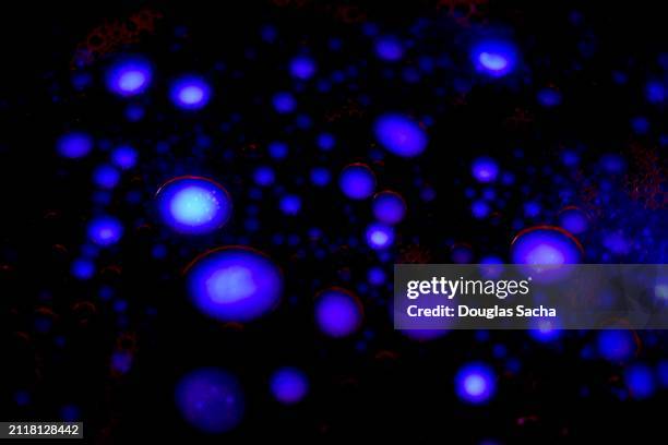 concept of dark ski with blue stars, abstract background - stars dna stock pictures, royalty-free photos & images
