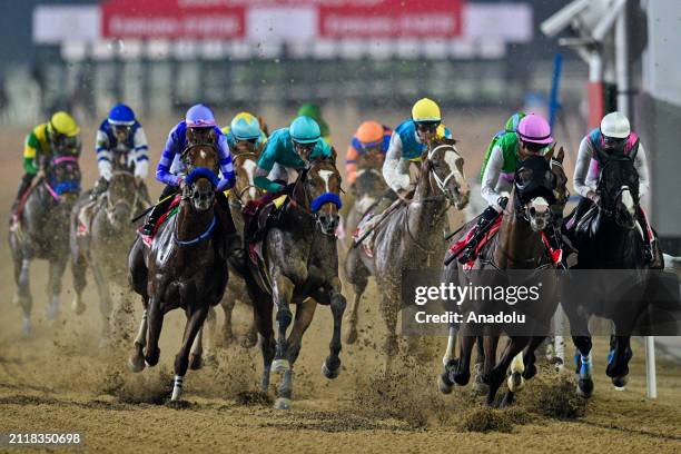 Meydan Races 6,133 Dubai World Cup Horse Race Stock Photos, High-Res Pictures, and ...
