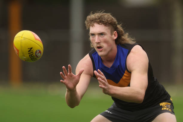 AUS: Hawthorn Hawks Training Session