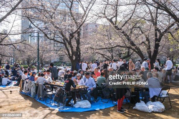 People gather under cherry blossoms at Hamacho Park for the "hanami" or flower viewing in Tokyo's Chuo district on March 31 as the declaration of the...