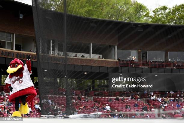 The South Carolina Gamecocks mascot dances against the Vanderbilt Commodores in the first inning during the first game of their double header at...