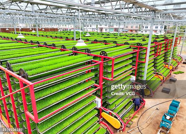 Intelligent Seedling Breeding Base Enhances Spring Farming Efficiency In Ganzhou