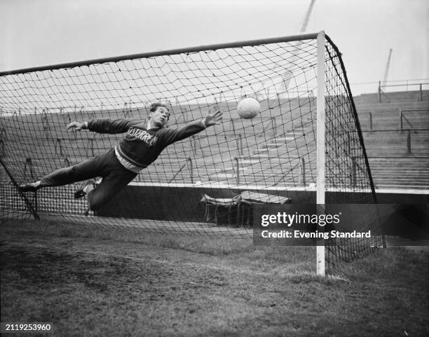 Austrian goalkeeper Walter Zeman stretching for the ball during practice in England, October 20th 1953. He is training ahead of an England vs Rest of...