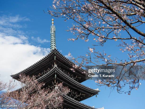 five-story pagoda and cherry blossoms - kawasaki kanagawa prefecture stock pictures, royalty-free photos & images