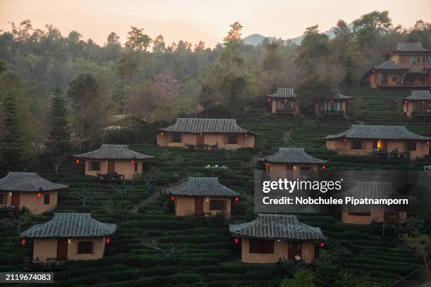 terracotta house in green tea plantation of rak thai village, ban rak thai a chinese settlement, mae hong son province - mae hong son province stock pictures, royalty-free photos & images