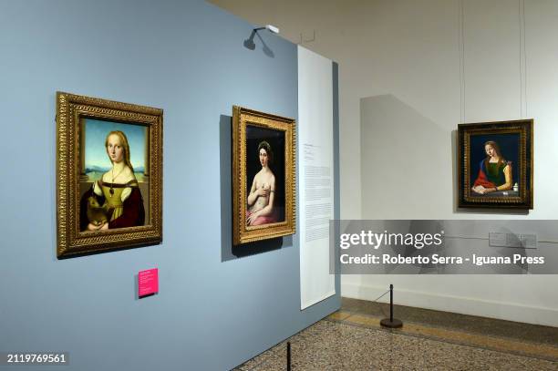Italian Renaissence artist Raffaello Sanzio masterpieces "Lady with Unicorn" and "Fornarina" and Piero Di Cosimo's "Maddalena" proposed in comparison...