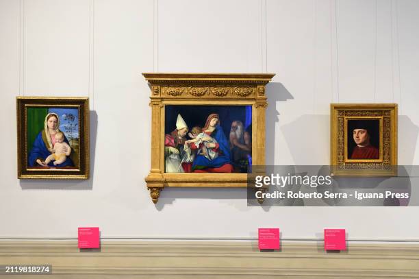 General view of the italian Renaissence and Mannerism masterpieces part of the exhibition "Raffaello, Tiziano, Rubens, Galleria Borghese's...