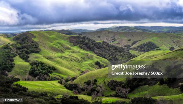 scenic view of green landscape against sky,paso robles,california,united states,usa - paso robles stockfoto's en -beelden
