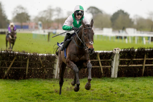 GBR: Fontwell Races