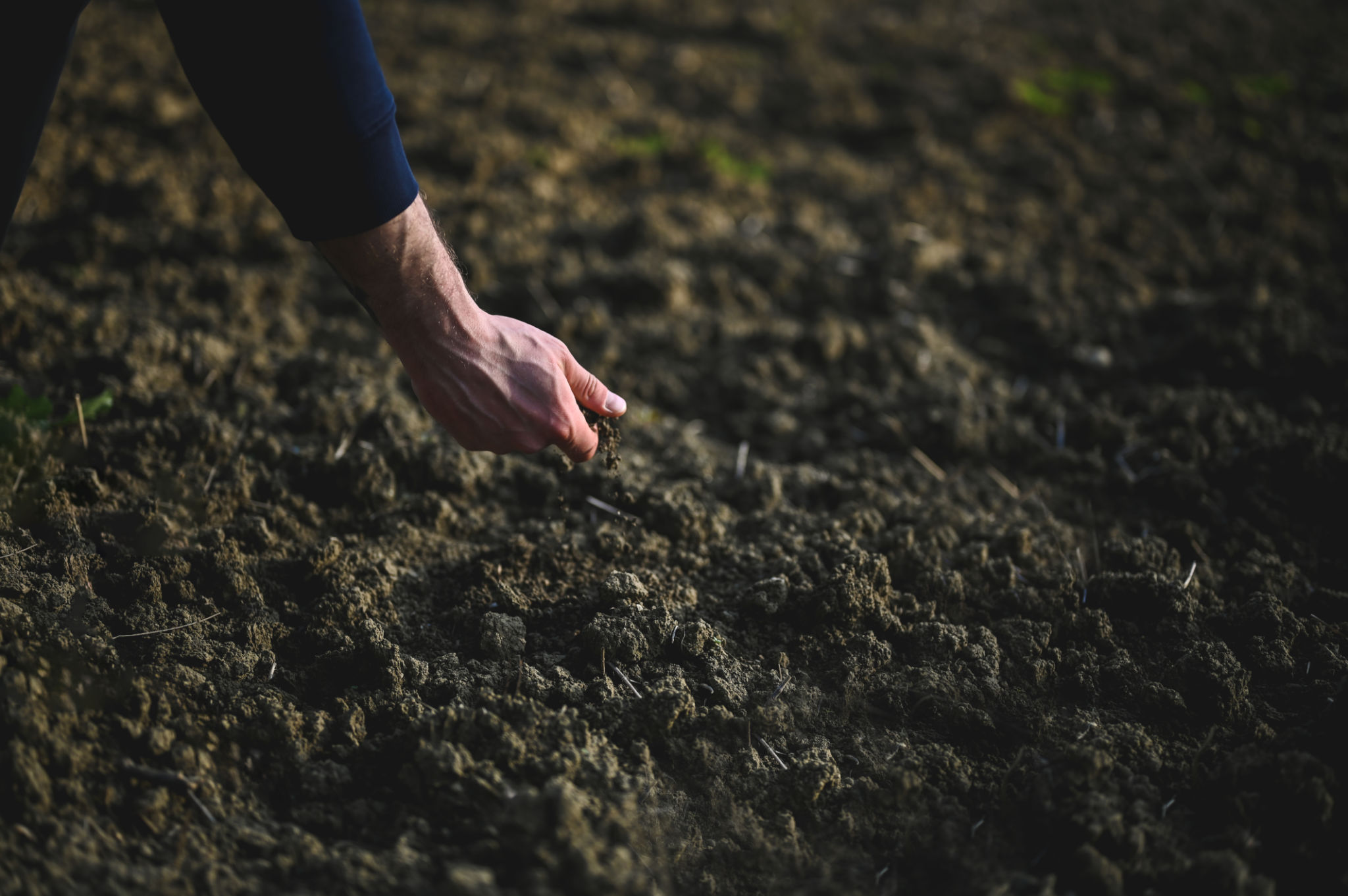 fertilizer soil test
