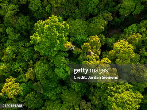 Aerial view over a forest in Costa Rica Aerial view over a forest in Costa Rica