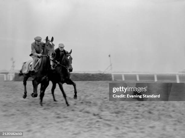 Racehorses 'Devon Loch' left, and 'M'as Tu Vu', both owned by Elizabeth The Queen Mother, gallop during training on the day of the Grand National,...