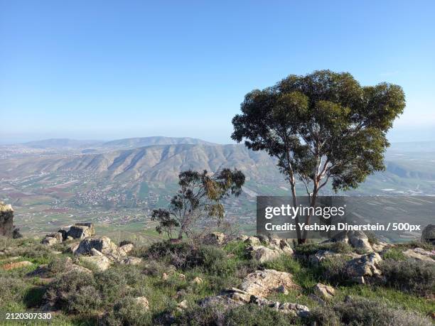 scenic view of landscape against clear blue sky,samaria,israel - yeshaya dinerstein stockfoto's en -beelden