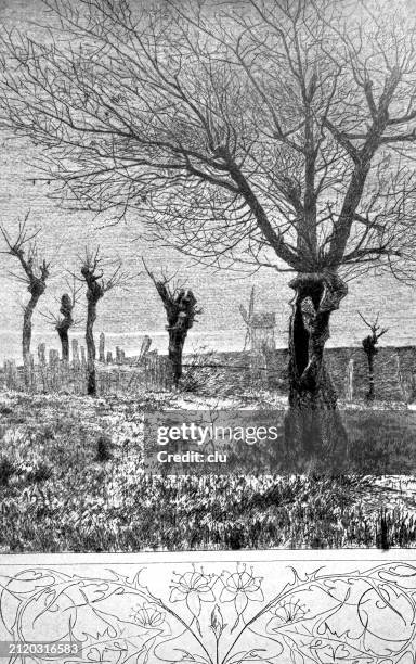 märkische landschaft - mecklenburg lake district stock illustrations