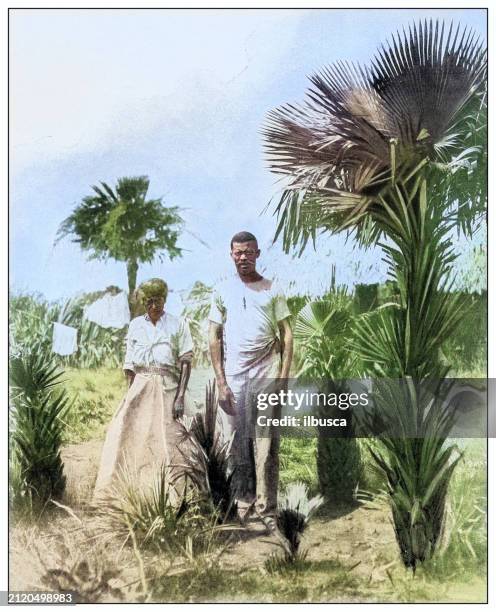 ilustraciones, imágenes clip art, dibujos animados e iconos de stock de fotografía antigua en blanco y negro: pareja, cuba - cultura cubana