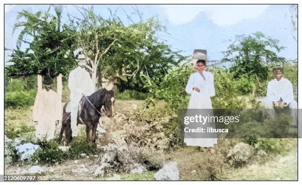 antique black and white photograph: site of ponce de leon's home at capara, puerto rico - ponce de leon stock illustrations