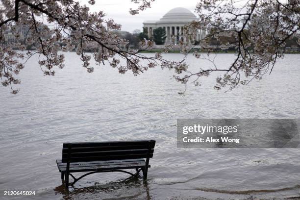 As the Thomas Jefferson Memorial is seen in the background, a park bench sits in water during high tide at the Tidal Basin on March 28, 2024 in...