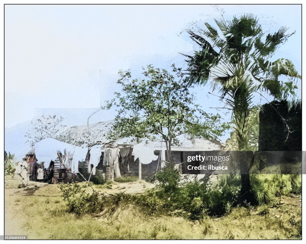Antique black and white photograph: Hut between Nueva Gerona and Santa Fe, Isla de la Juventud