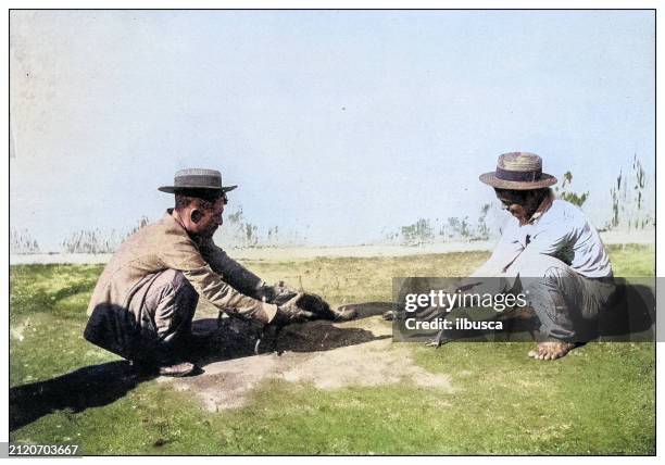antique black and white photograph: cockfight training in cuba - caribbean indigenous illustration stock illustrations